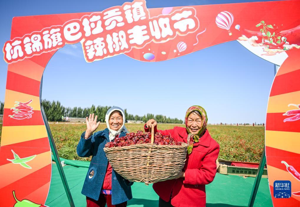 世爵登录地址6